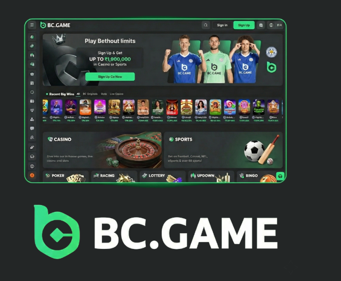 Explore the World of BC.Game A Comprehensive Overview of the Gaming Platform Explore the World of BC.Game A Comprehensive Overview of the Gaming Platform
